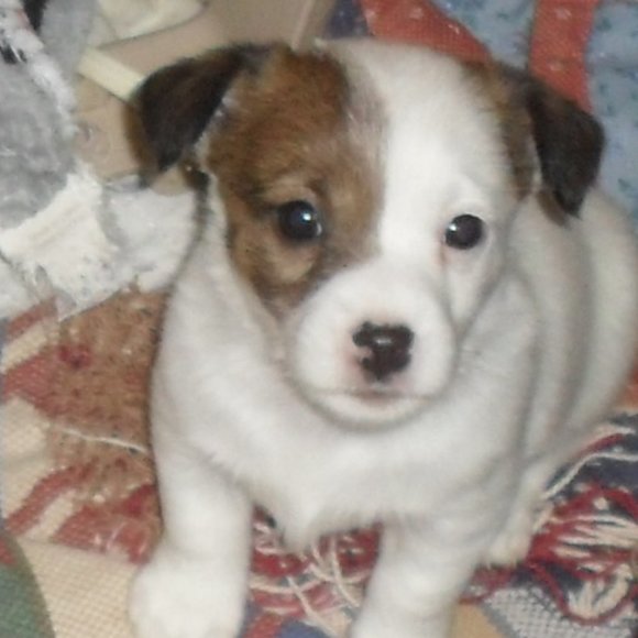 Thanks for shopping my closet!!! - Picture 6 of 16